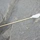 Illustration for article titled The Swiss Army Tampon: A Life-Saving Wilderness Survival Tool